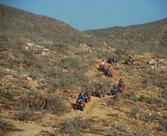 Visita guiada en el desierto